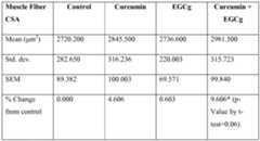 Figure imgf000025_0001