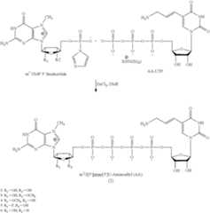 Figure US08093367-20120110-C00009