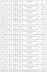 Figure 0007646616000122