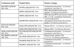 Figure imgf000085_0001