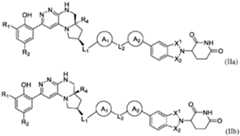 Figure imgf000156_0001