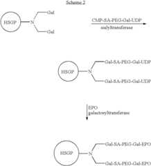 Figure US07179617-20070220-C00019