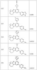 Figure BDA0001402557760002541