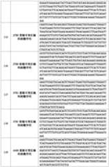 Figure PCTCN2018111201-appb-000011