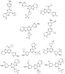 Figure BDA0001402557760000401