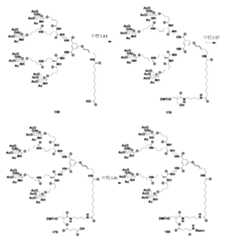 Figure 106103567-A0304-12-0230-218