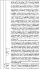 Figure BDA0004033970230007131