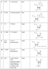 Figure imgf000060_0001