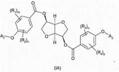 Figure imgf000011_0001