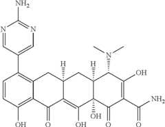 Figure US08088820-20120103-C00404