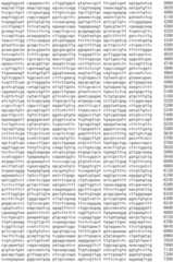 Figure IDA0002536600790000831