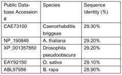 Figure imgf000022_0002