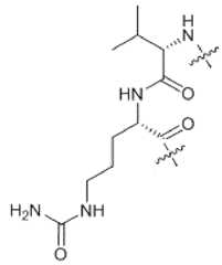 Figure imgf000012_0001