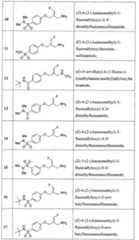 Figure imgf000093_0001