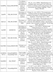 Figure PCTCN2022090268-appb-000038