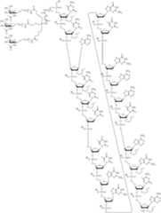 Figure US10793862-20201006-C00284