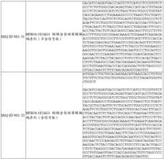 Figure BDA0002342752330000771