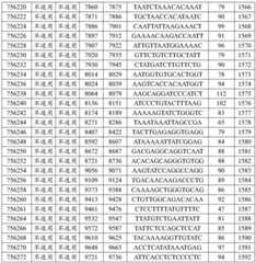 Figure BDA0002715438180001471