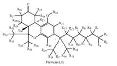 Figure imgf000021_0001