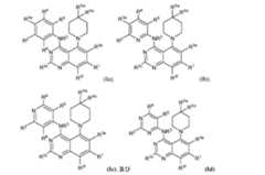 Figure 0007640521000031