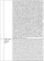 Figure imgf000073_0001