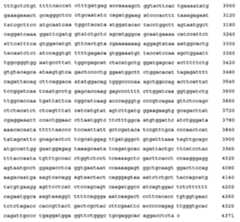 Figure 108128641-A0202-12-0306-688