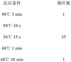 Figure BDA0003195784050000092