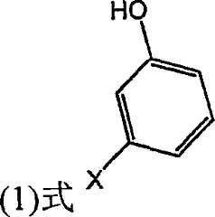 Figure S2006800249696D00052