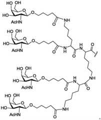 Figure BDA0003018192690002321