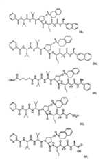 Figure G2009101493490D00601