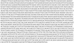 Figure PCTCN2022073808-appb-000139