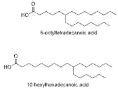 Figure imgf000011_0001