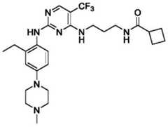 Figure BDA0003508720790001491