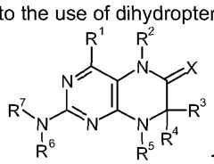 Figure imgf000002_0001