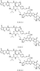 Figure FDA0003674984860000461