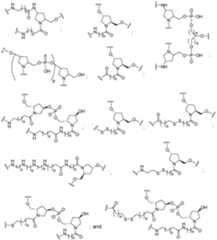 Figure imgf000058_0001