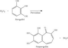 Figure US08449172-20130528-C00001