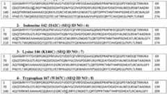 Figure imgf000024_0004