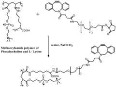 Figure imgf000042_0001