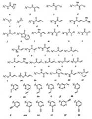 Figure BPA00001280125600451