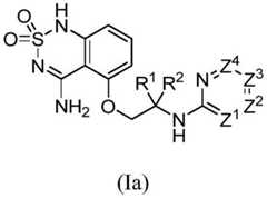 Figure FDA0002978138870000021