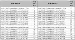 Figure BDA0002379404260000531