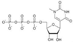 Figure imgf000224_0002