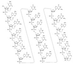 Figure 107139428-A0305-02-0055-356