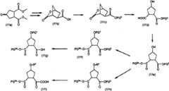 Figure BSA00000676350900361