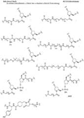 Figure imgf000057_0001