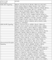 Figure imgf000054_0001