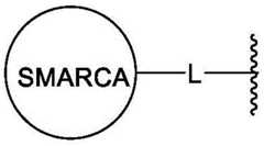 Figure BDA0003783300830000611