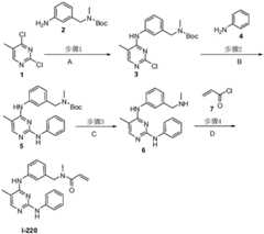 Figure BDA0001453135130003001