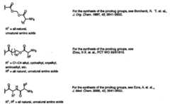 Figure 112007011503269-PCT00141